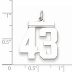 Sterling Silver Rhodium-plated Medium Polished Number 43 Charm