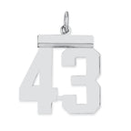 Sterling/Silver Rhodium-plated Polished Number 43 Charm