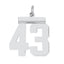 Sterling/Silver Rhodium-plated Polished Number 43 Charm
