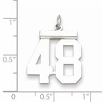 Sterling Silver Rhodium-plated Medium Polished Number 48 Charm