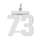 Sterling/Silver Rhodium-plated Polished Number 73 Charm