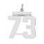 Sterling/Silver Rhodium-plated Polished Number 73 Charm