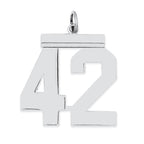 Sterling Silver/Rhodium-plated Polished Number 42 Charm