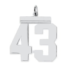 Sterling Silver/Rhodium-plated Polished Number 43 Charm