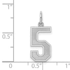 Sterling Silver/Rhodium-plated Satin Number 5 Charm