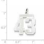 Sterling Silver Rhodium-plated Medium Satin Number 43 Charm