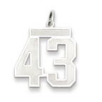 Sterling Silver/Rhodium-plated Satin Number 43 Charm