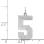 Sterling Silver/Rhodium-plated Satin Number 5 Charm