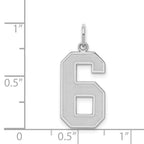 Sterling Silver/Rhodium-plated Satin Number 6 Charm