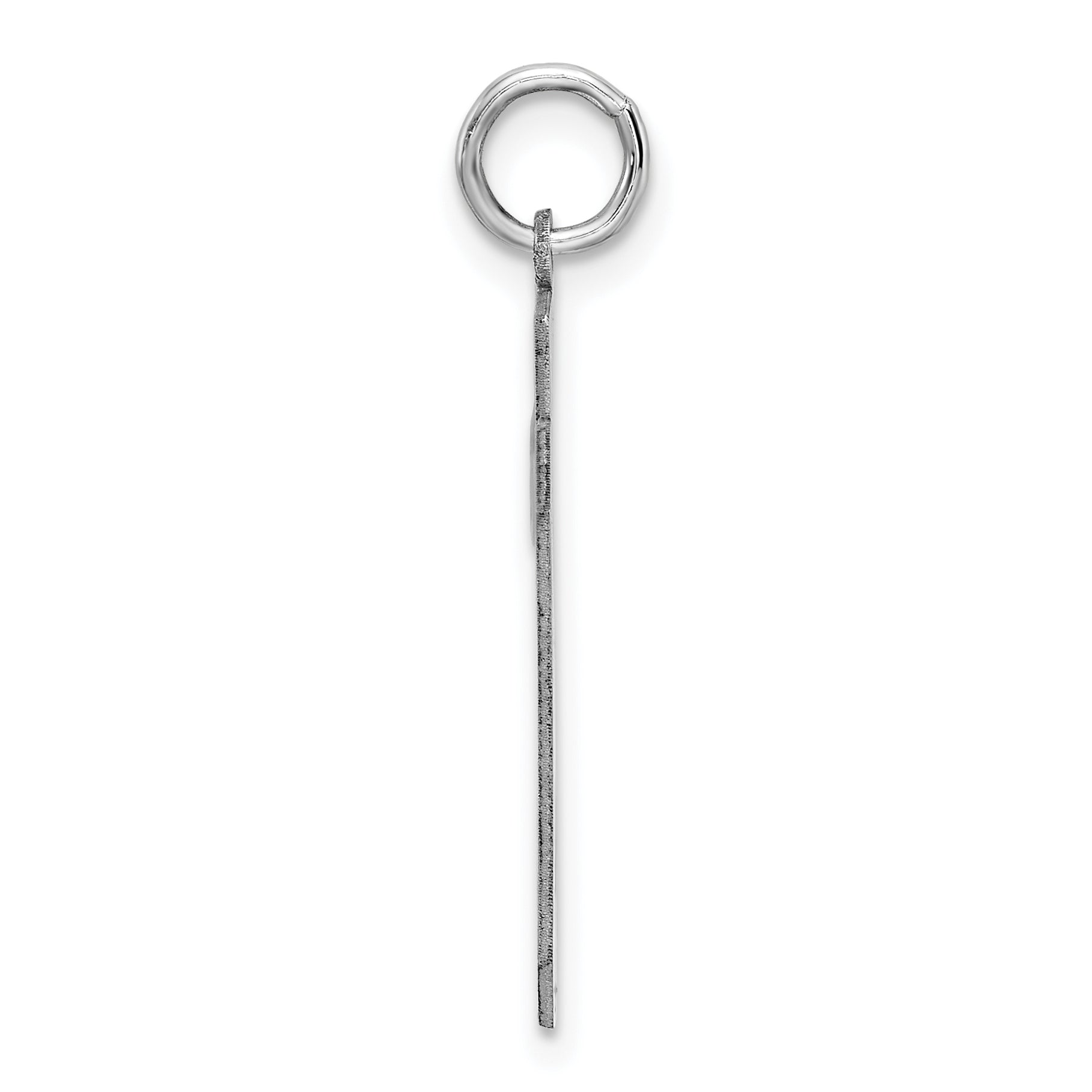 Sterling Silver Rhodium-plated Large Satin Number 29 Charm Secondary image
