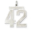 Sterling Silver/Rhodium-plated Satin Number 42 Charm