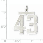 Sterling Silver Rhodium-plated Large Satin Number 43 Charm