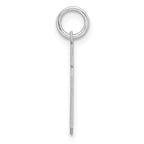 Sterling Silver Rhodium-plated Small Satin Number 19 Charm