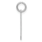 Sterling Silver Rhodium-plated Small Satin Number 20 Charm