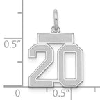 Sterling Silver Rhodium-plated Small Satin Number 20 Charm