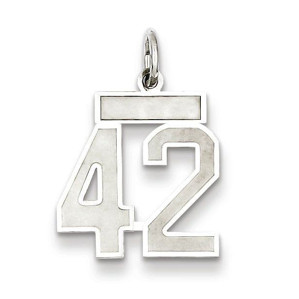 Sterling Silver/Rhodium-plated Satin Number 42 Charm Main image