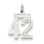 Sterling Silver/Rhodium-plated Satin Number 42 Charm