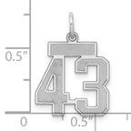 Sterling Silver Rhodium-plated Small Satin Number 43 Charm