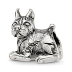 Sterling Silver Reflections Boxer Bead