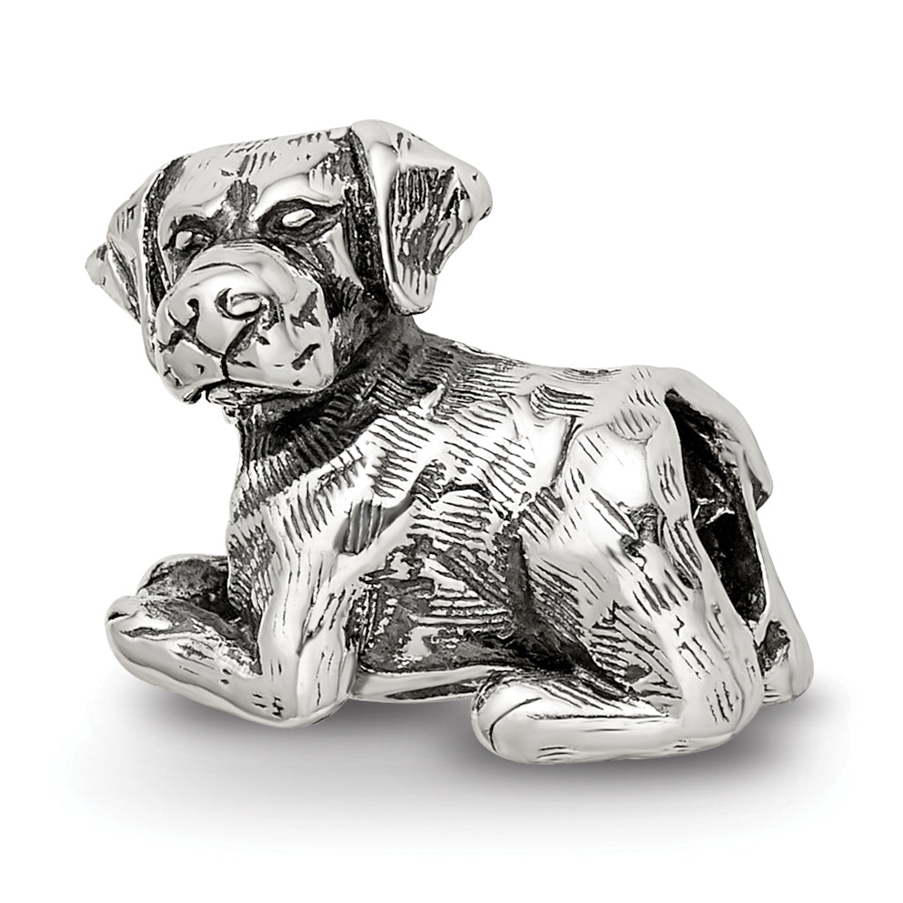 Sterling Silver Reflections Labrador Retriever Bead Main image