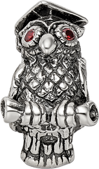 Sterling Silver Reflections Wise Owl Bead