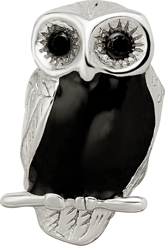 Sterling Silver 925 Wise Owl Enameled Bead with Antiqued Finish