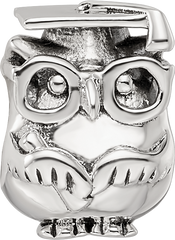 Sterling Silver Reflections Graduation Owl Bead