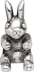 Sterling Silver Reflections Kids Bunny Bead