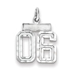 Sterling Silver Rhodium-plated Small Diamond-cut #06 Charm