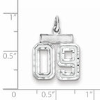 Sterling Silver Rhodium-plated Small Diamond-cut #09 Charm