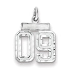 Sterling Silver Rhodium-plated Small Diamond-cut #09 Charm