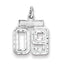 Sterling Silver Rhodium-plated Small Diamond-cut #09 Charm