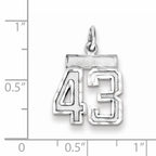 Sterling Silver Rhodium-plated Diamond-cut #43 Charm