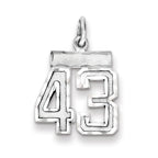 Sterling Silver Rhodium-plated Diamond-cut #43 Charm