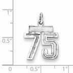 Sterling Silver Rhodium-plated Diamond-cut #75 Charm