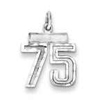Sterling Silver Rhodium-plated Diamond-cut #75 Charm