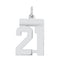 Sterling Silver/Rhodium-plated Polished Number 21 Charm