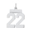 Sterling Silver/Rhodium-plated Polished Number 22 Charm