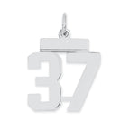 Sterling Silver/Rhodium-plated Polished Number 37 Charm