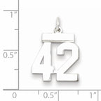 Sterling Silver Rhodium-plated Small Polished Number 42 Charm