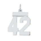 Sterling Silver/Rhodium-plated Polished Number 42 Charm