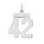 Sterling Silver/Rhodium-plated Polished Number 42 Charm