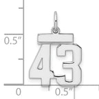 Sterling Silver Rhodium-plated Small Polished Number 43 Charm