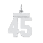 Sterling Silver/Rhodium-plated Polished Number 45 Charm