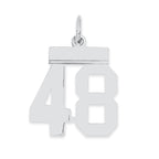 Sterling Silver/Rhodium-plated Polished Number 48 Charm