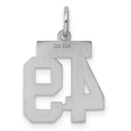 Sterling Silver Rhodium-plated Small Polished Number 49 Charm