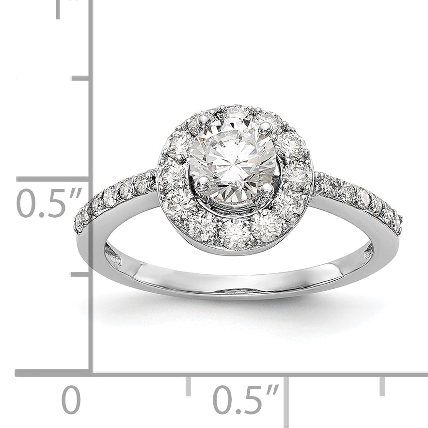 14K White Gold Halo (Holds 1/2 carat (5.00mm) Round Center) 1/2 carat Diamond Semi-Mount Engagement Ring