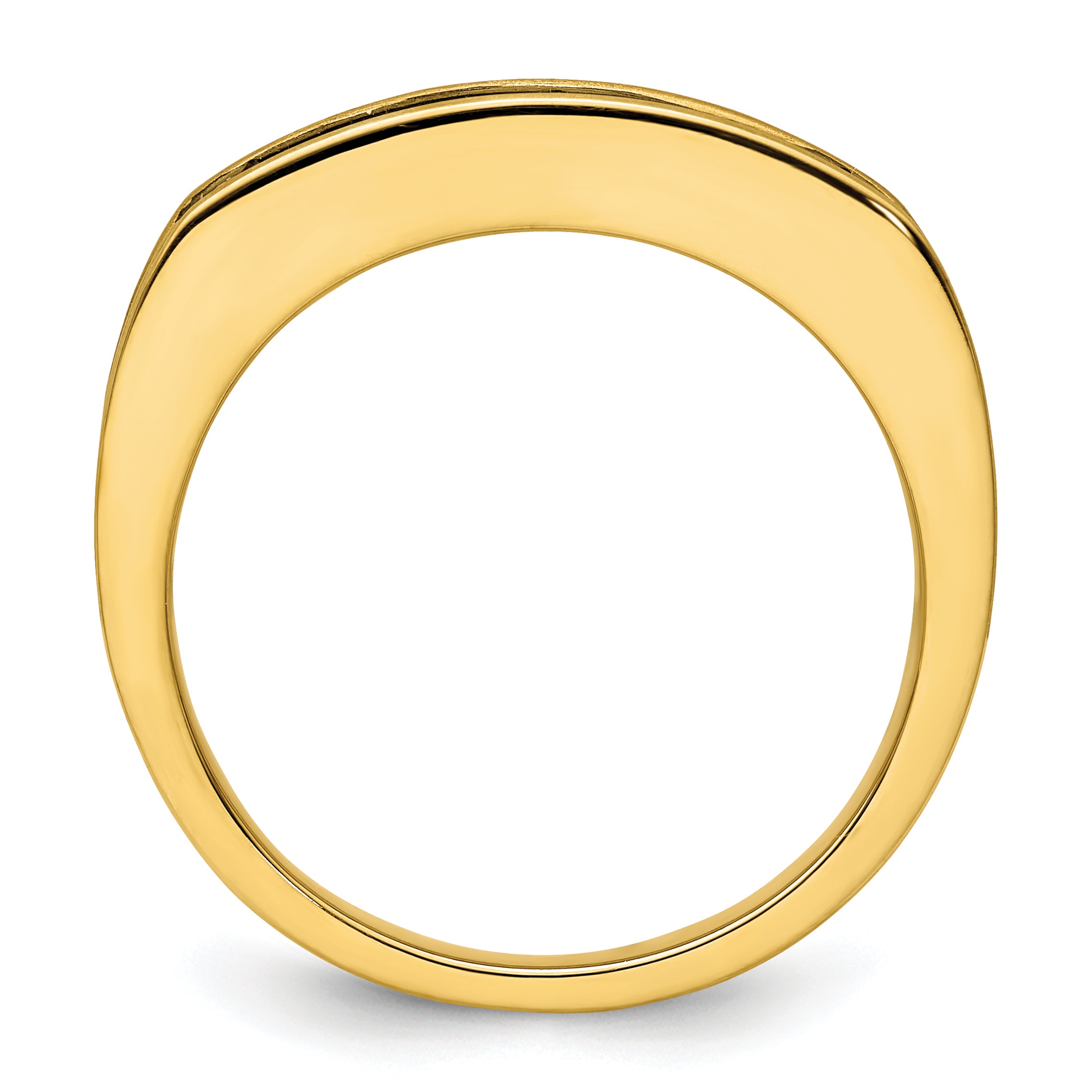 14K Lab Grown Diamond VS/SI GH, Black Rhodium Men's Ring - 10