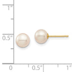 14K Gold Freshwater Pearl Stud Earrings with Polished Finish