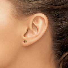14K Gold July Birthstone Earrings with Red CZ Screwback